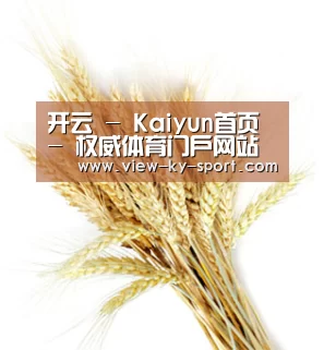 开云 - Kaiyun首页 - 权威体育门户网站