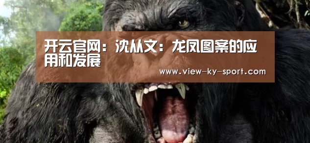 开云官网：沈从文：龙凤图案的应用和发展