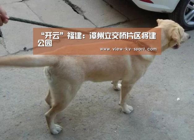 开云官网