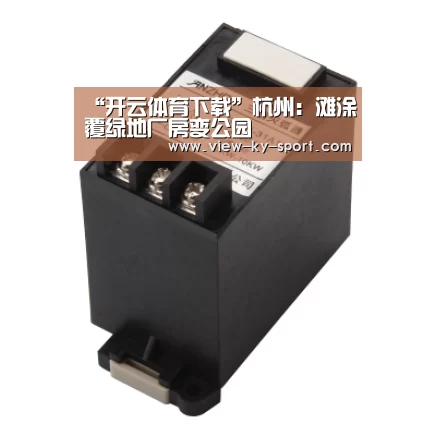 开云体育下载