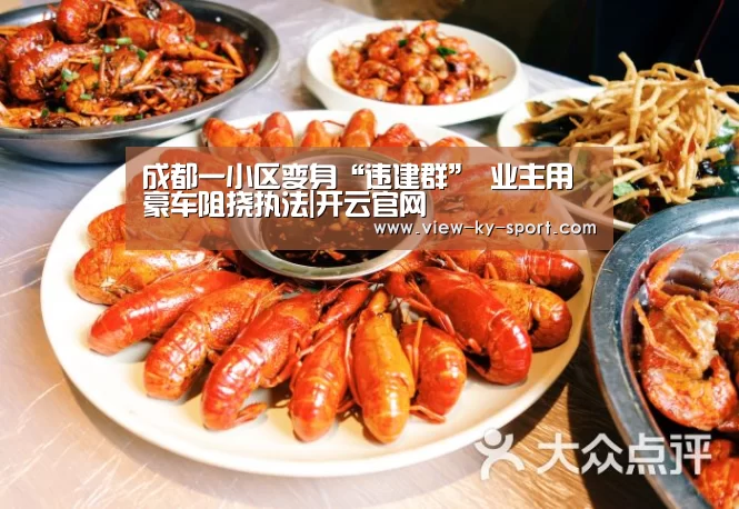 成都一小区变身“违建群” 业主用豪车阻挠执法|开云官网(图1) 开云官网