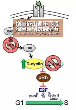 增量成本逐年下降绿色建筑发展呈五大趋势|开云体育下载(图1) 开云体育下载
